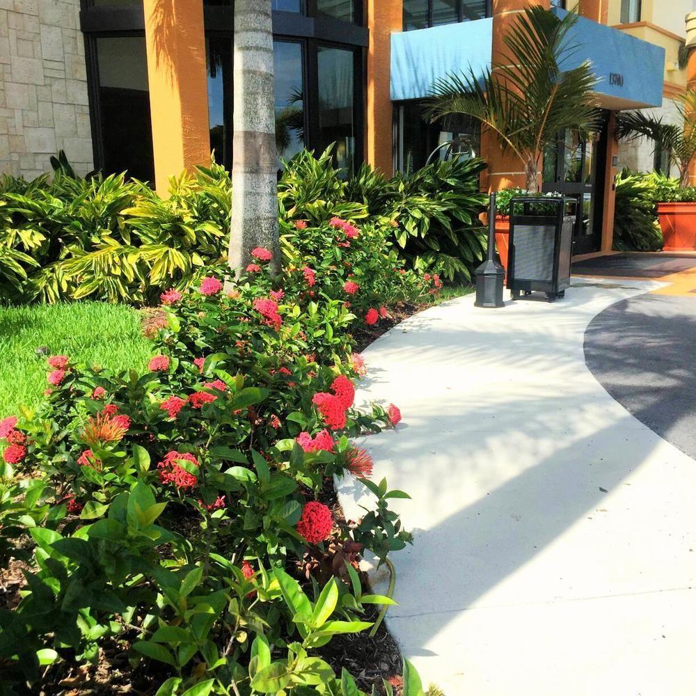 Best Western Plus Miami Executive Airport Hotel And Suites Kendall Zewnętrze zdjęcie